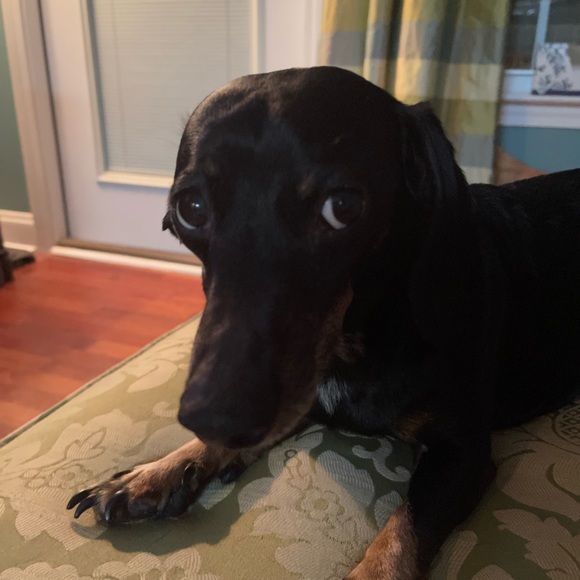 Meet your Ambassador II Posher, Megan - Picture 11 of 15